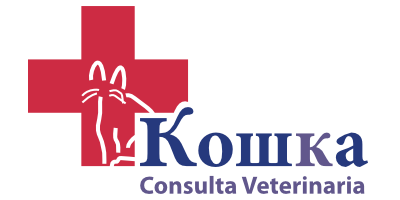 Kowka